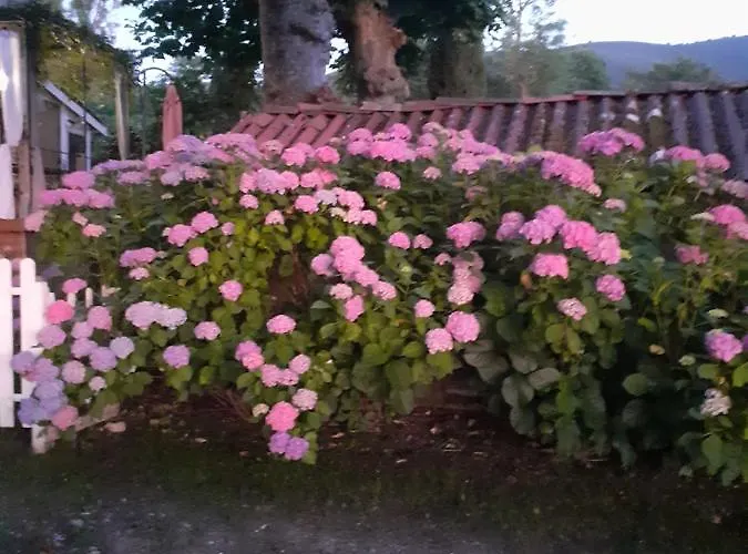 Casa vacanze Le Marronnier *