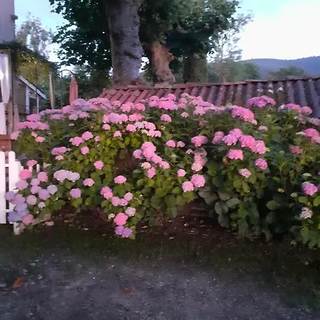 Hébergement de vacances Le Marronnier *