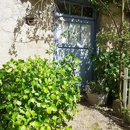 Le Marronnier *